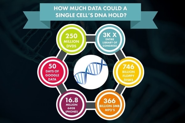 dna data storage capacity