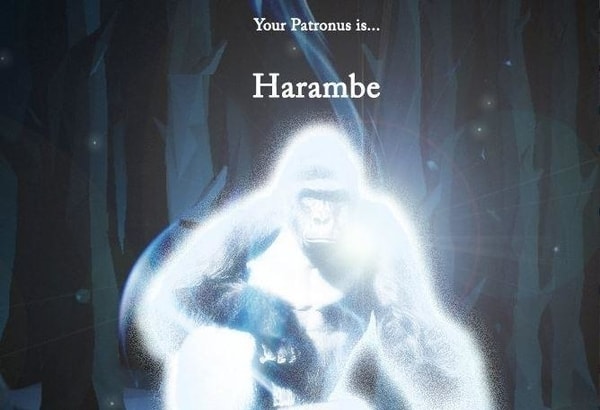 harambe as a patronus