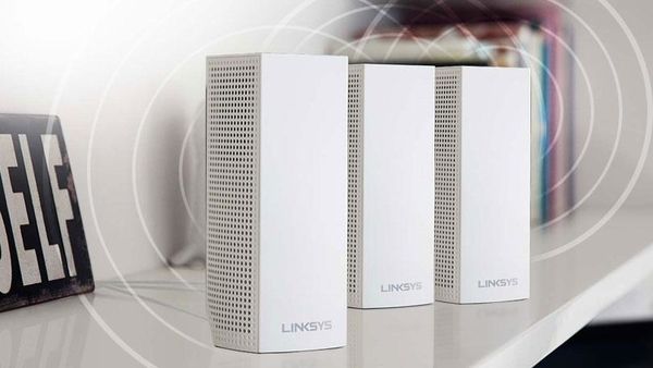 mesh network router vs extender