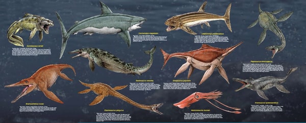 marine life prehistoric
