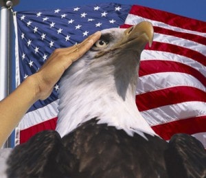 eagle saluting america