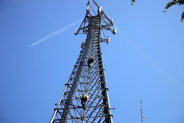 surveillance stingray