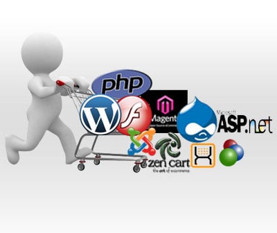 web server-development